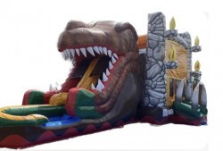 Dinosaur Bounce House Dual Lane Slide Combo (dry)