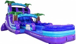 20ft Purple Plunge Dual Lane Racer with Deep Pool