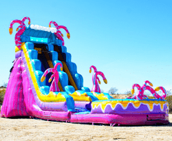 20ft Wild Things Waterslide with Deep Pool