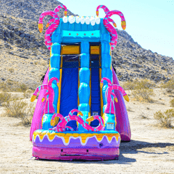 20ft Wild Things Waterslide with Deep Pool