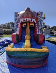 Large Dual Lane Bounce House Slide Dinosaur Combo
